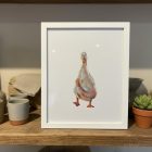 gift shop emsworth local delivery artisan handmade prints illustration